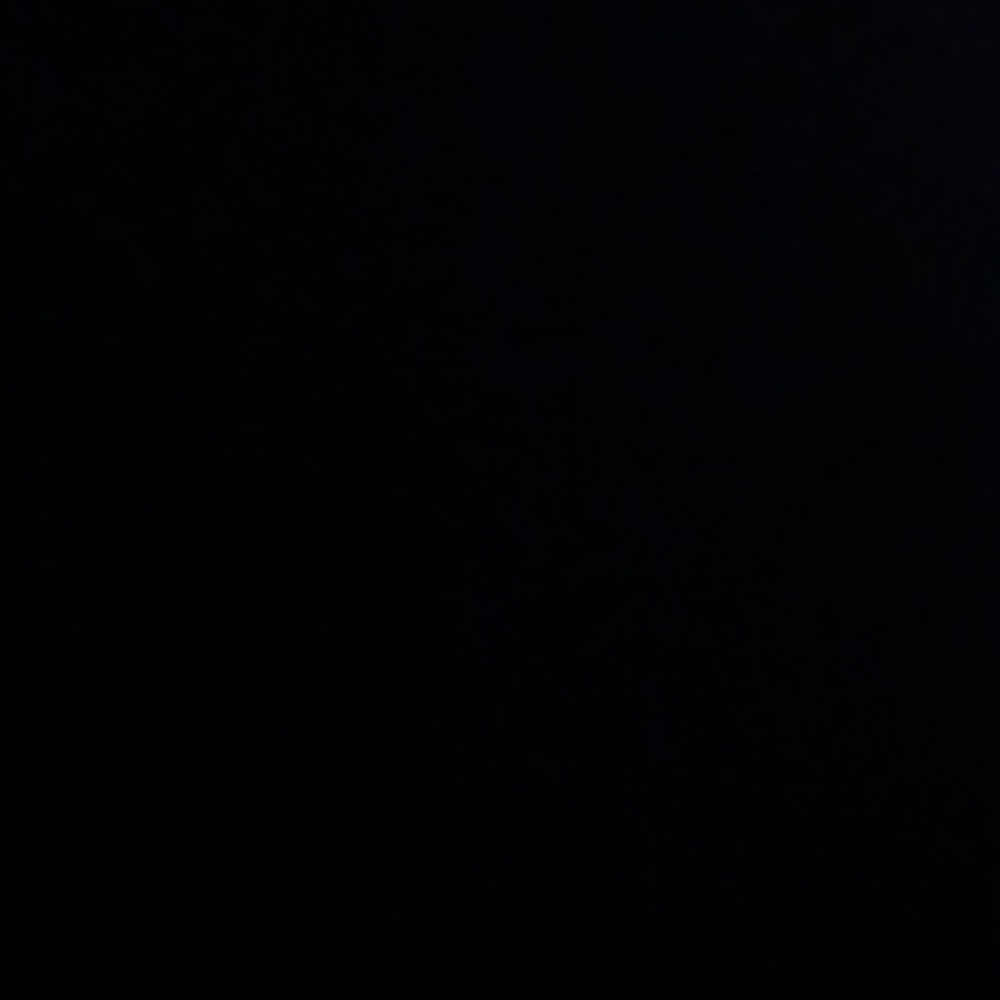 Meet your Posher, Rosalie